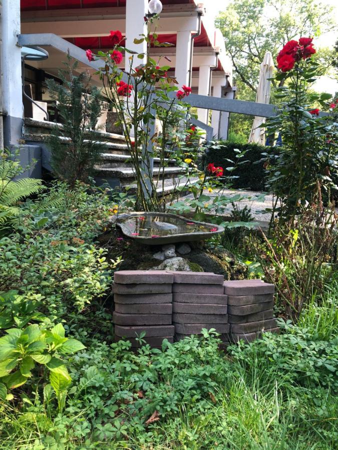 Reichels Parkhotel Bad Windsheim Ngoại thất bức ảnh